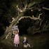 Sony World Photography Awards 2010