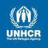 Refugee Film Festival, When Human Rights Meets Film Festival