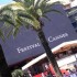 Cannes for beginners