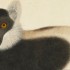 Natural History Museum London | residency for India-based artist