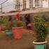 Jakarta Biennale XIV | Maximum City