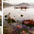 Mumbai | 'Pink is the Navy Blue of India' Norman Parkinson exhibition