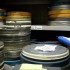 French - PHL Film Archiving collaboration underway