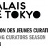 Palais de Tokyo | Young Curators Season 2013 | call