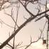Wales | Centre for Alternative Technology | artist residency call