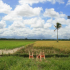 Philippines | Balay Kalamragan artist residency