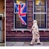 PhotoContest | United Kingdom | Kajal Nisha Patel | 7 Photos