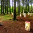 France | Horizons Arts-Nature | open call
