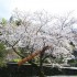 Japan | Kamiyama Artist in Residence Program