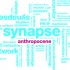 Berlin | SYNAPSE 2013 workshop