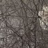 Barcelona | Chiharu Shiota exhibition