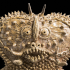 London | Souzou : Outsider Art from Japan | exhibition