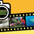 Zooming in on Biodiversity and Climate Change | ASEAN photo contest