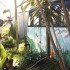 Australia | The Backyard Bus | open call for new artist residency