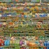 Germany | The Politics and Pleasures of Food | Leipzig international fellowship call