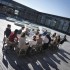 Meeting of the GALA partners in Visby, Sweden (May 2014)