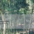 Viet Nam | Muong Artist Residency call