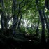 Aarhus 2017 | open call