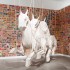 Brisbane | 8th Asia Pacific Triennial of Contemporary Art