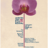Across Asia Film Festival