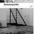 Seismopolite | the Politics of Southeast Asian Contemporary Art
