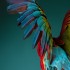 FT/OppenheimerFunds Emerging Voices Awards