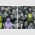 Chinese Whispers exhibition in Bern and Vienna