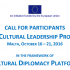 Global Cultural Leadership Programme call | EXTENDED DEADLINE