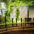 La Gacilly Photo Festival | focus on Japanese photography