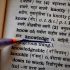 Translating voices | Finding connections between cultures