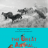 Paris | The Great Animal Orchestra