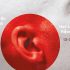 Belgium | Ars Musica Festival - focus on Japan
