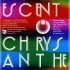 Fluorescent Chrysanthemum | 1960s Japan art exhibition revisited in London