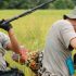 Asiadoc 2017 | training for SE Asian documentary producers - CALL