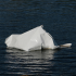 Finland | ANTI Contemporary Art Festival call for proposals