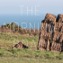 Jersey (Channel Islands) | The Morning Boat residency call