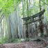 The power of arts projects in driving Japanese regional revitalisation