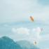 14th Lyon Biennale - Floating Worlds