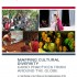 Mapping Cultural Diversity publication launched