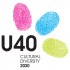 U40 Cultural Diversity 2030