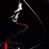 Talking about contemporary circus in Europe