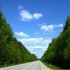 Making Mobility Green! contribute to survey