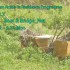 Korea: Space Beam artists residency