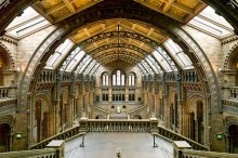 Natural History Museum UK 1