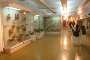 National Museum India - gallery1