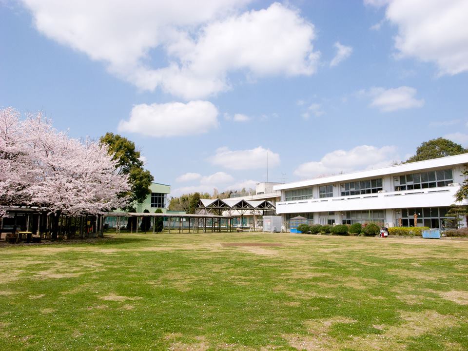 Image of outside of ARCUS residency in Japan, building and cherry blossom tree.