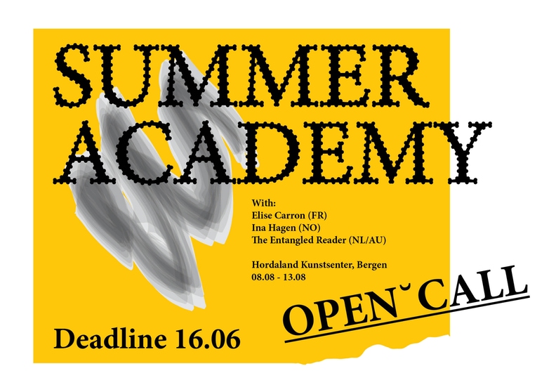 graphic image for Hordaland summer academy