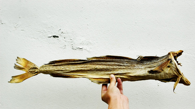 Hand holding up a dried cod fish