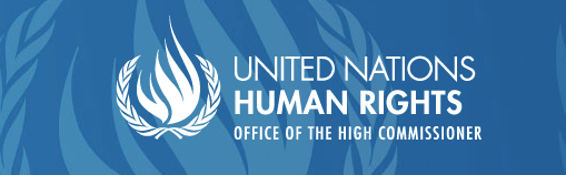 UN Logo