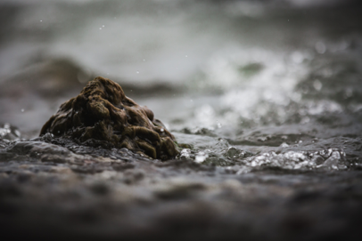 Photo of stone surrounded by flowing water